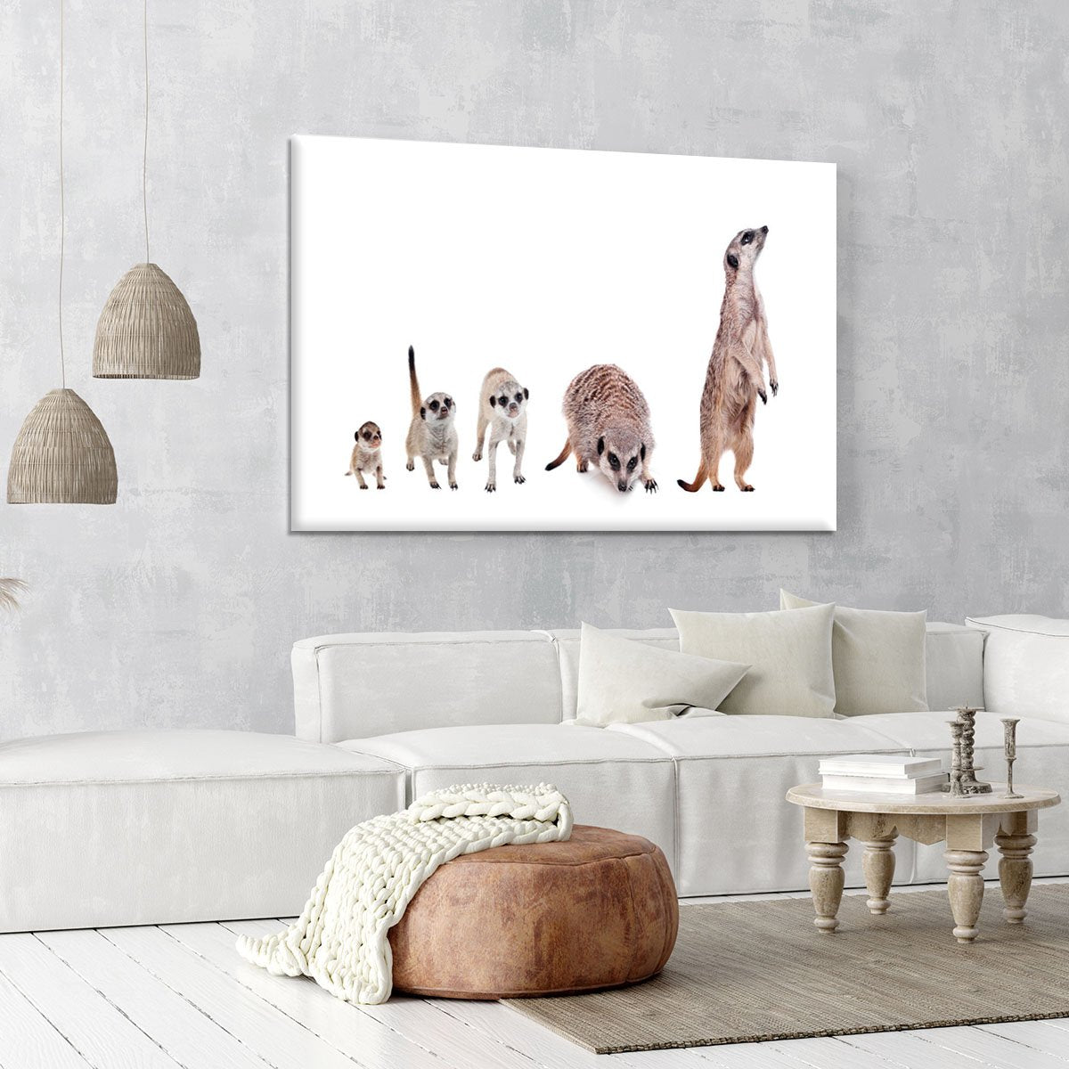 The meerkats on white Canvas Print or Poster
