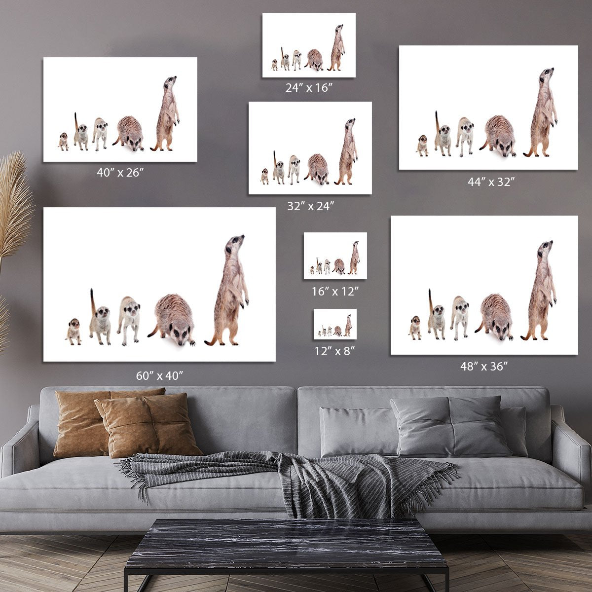 The meerkats on white Canvas Print or Poster