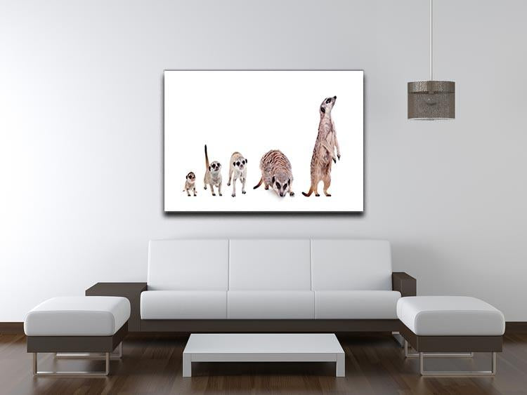 The meerkats on white Canvas Print or Poster - Canvas Art Rocks - 4