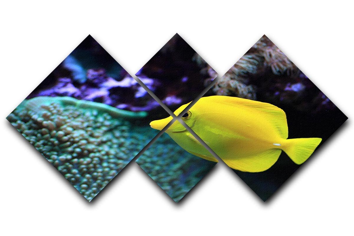 The yellow fish 4 Square Multi Panel Canvas  - Canvas Art Rocks - 1