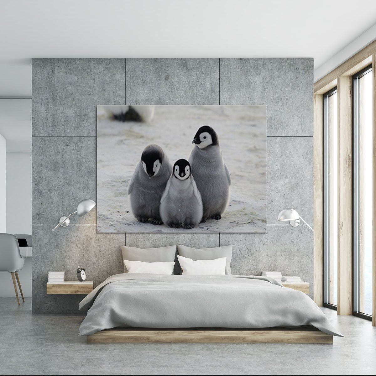 Three Emperor Penguin Chicks Together Canvas Print or Poster