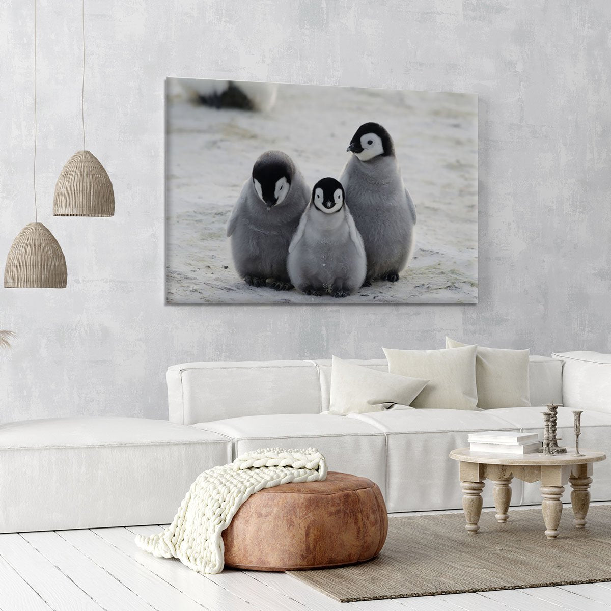 Three Emperor Penguin Chicks Together Canvas Print or Poster