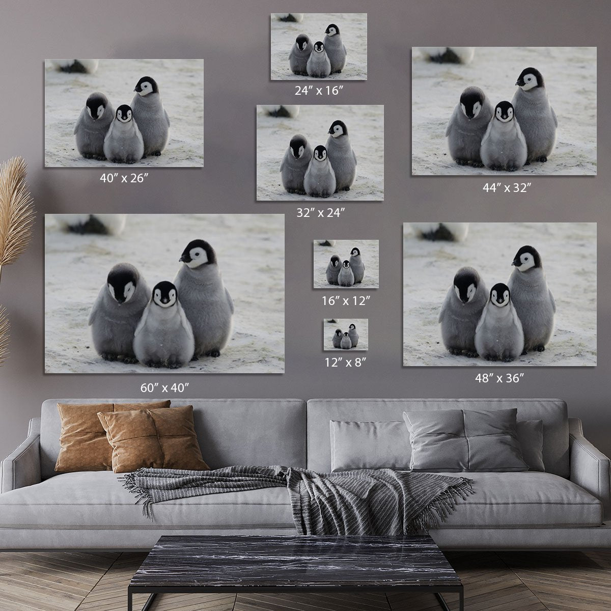Three Emperor Penguin Chicks Together Canvas Print or Poster