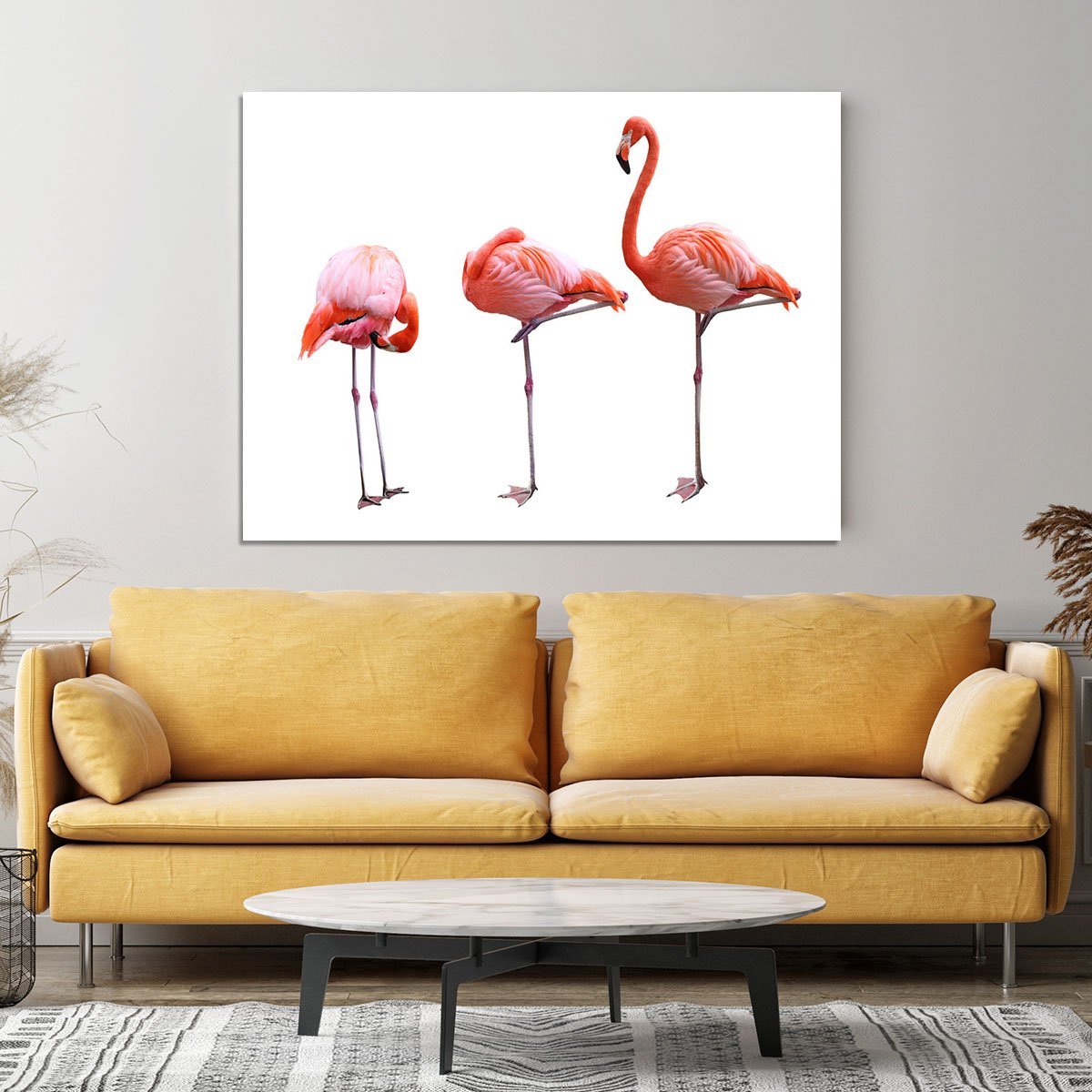 Three flamingo birds isolated on white background Canvas Print or Poster