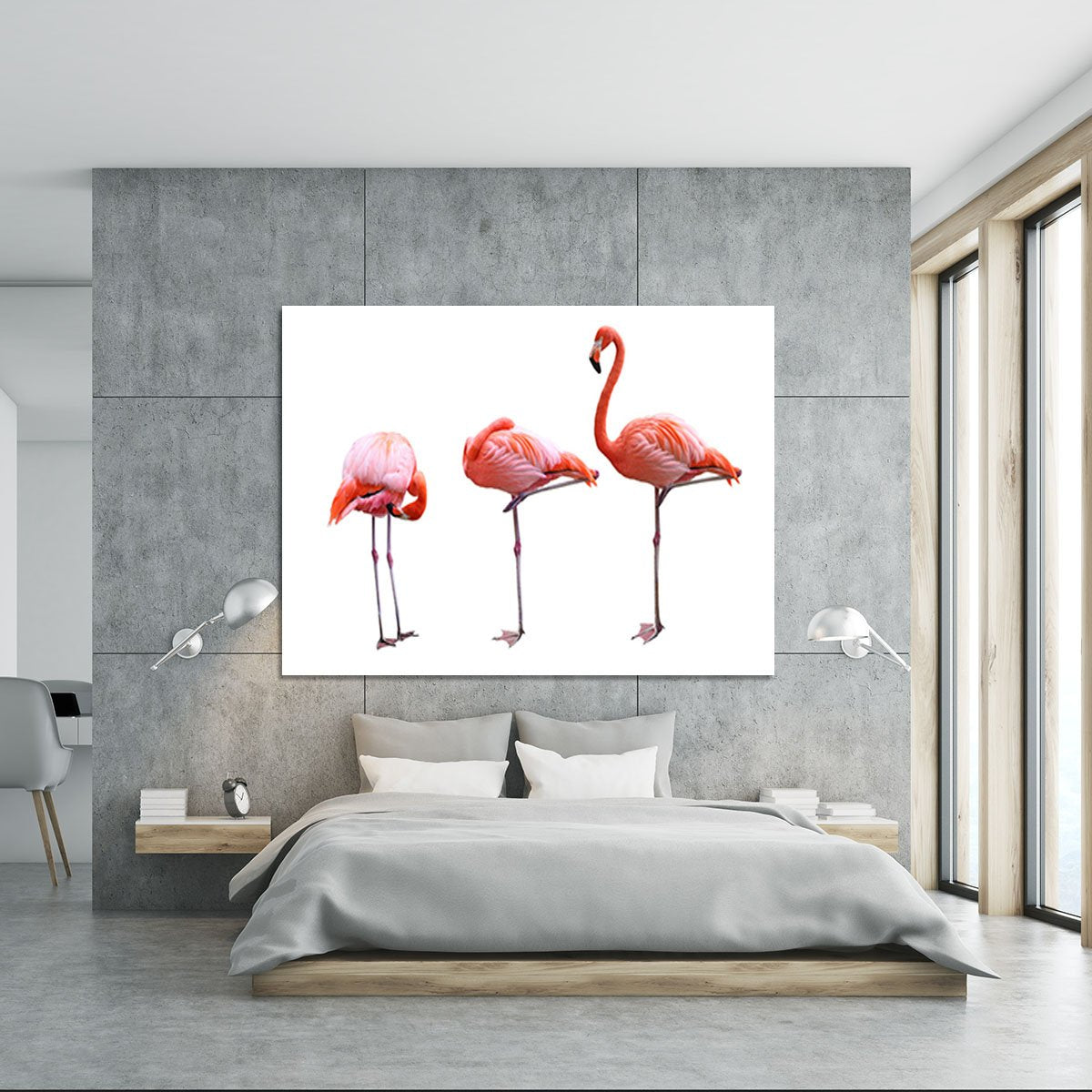 Three flamingo birds isolated on white background Canvas Print or Poster