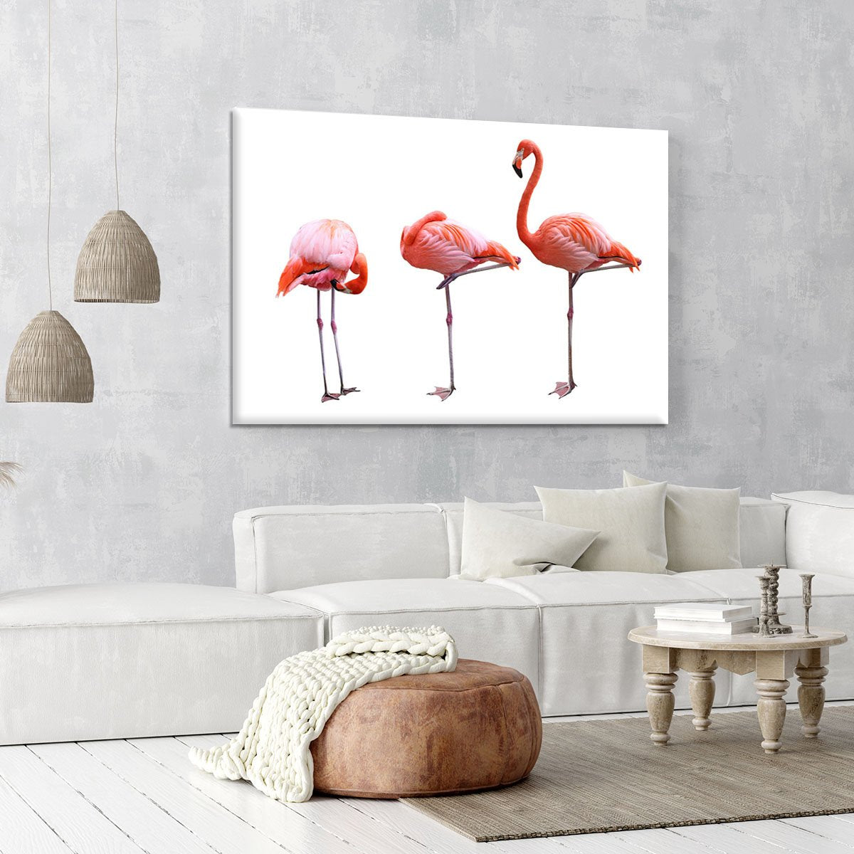 Three flamingo birds isolated on white background Canvas Print or Poster