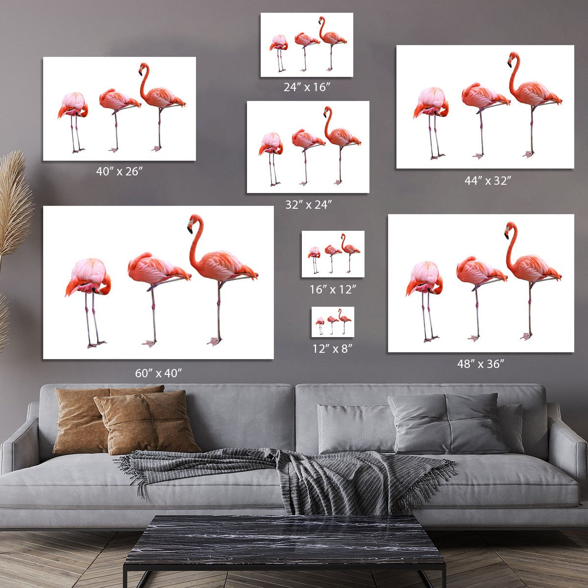 Three flamingo birds isolated on white background Canvas Print or Poster