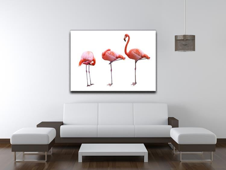 Three flamingo birds isolated on white background Canvas Print or Poster - Canvas Art Rocks - 4