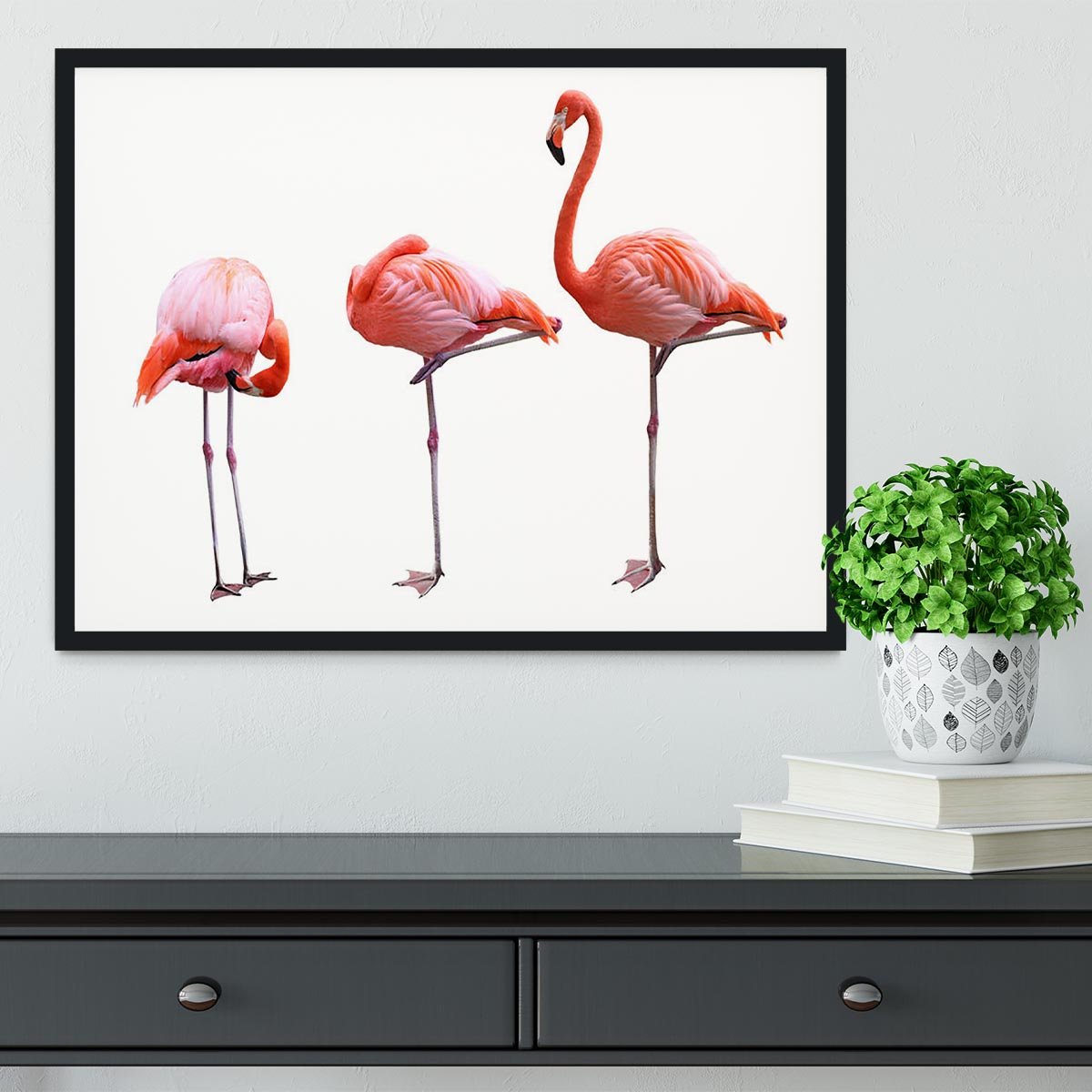 Three flamingo birds isolated on white background Framed Print - Canvas Art Rocks - 2