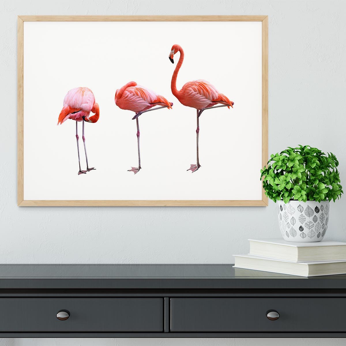 Three flamingo birds isolated on white background Framed Print - Canvas Art Rocks - 3