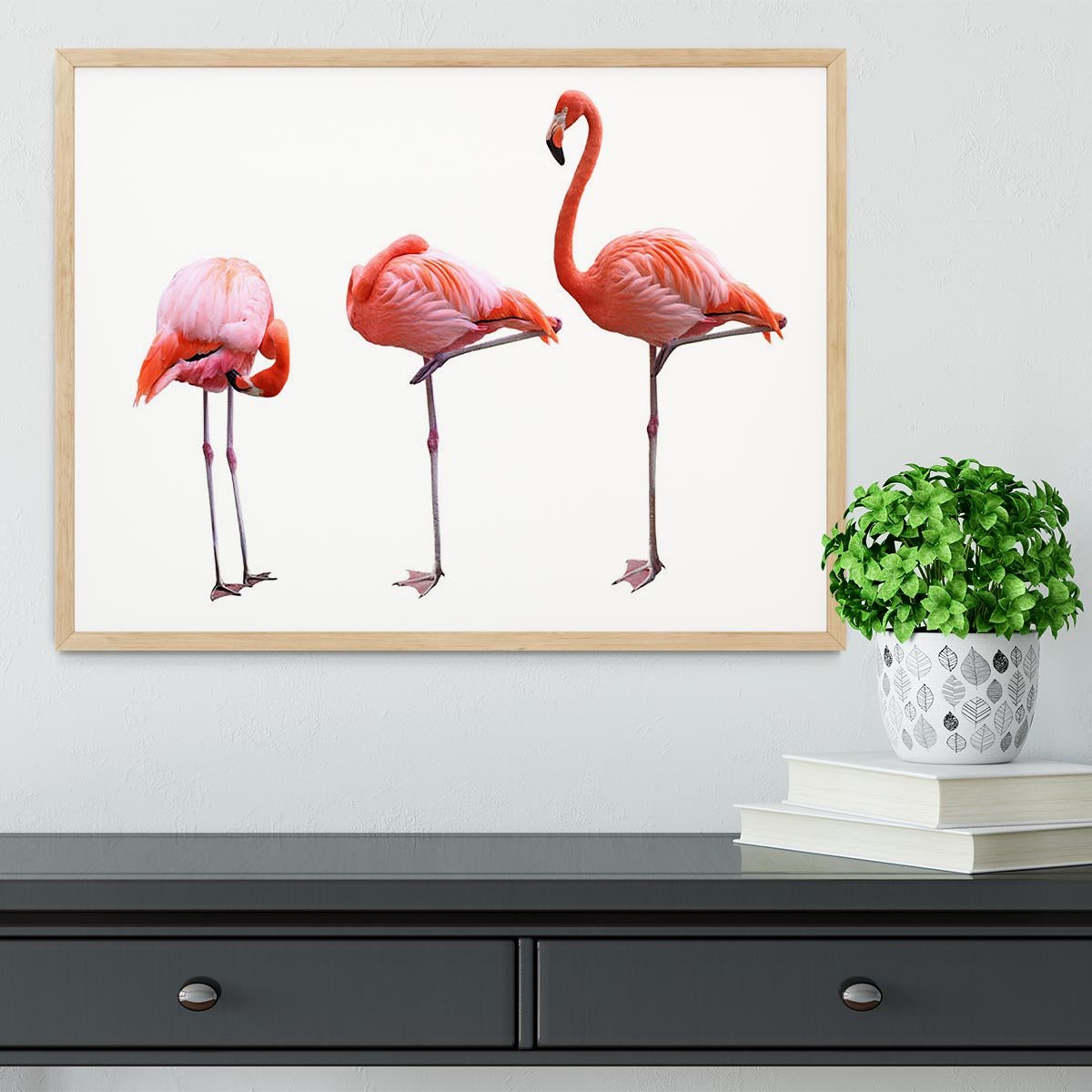 Three flamingo birds isolated on white background Framed Print - Canvas Art Rocks - 4