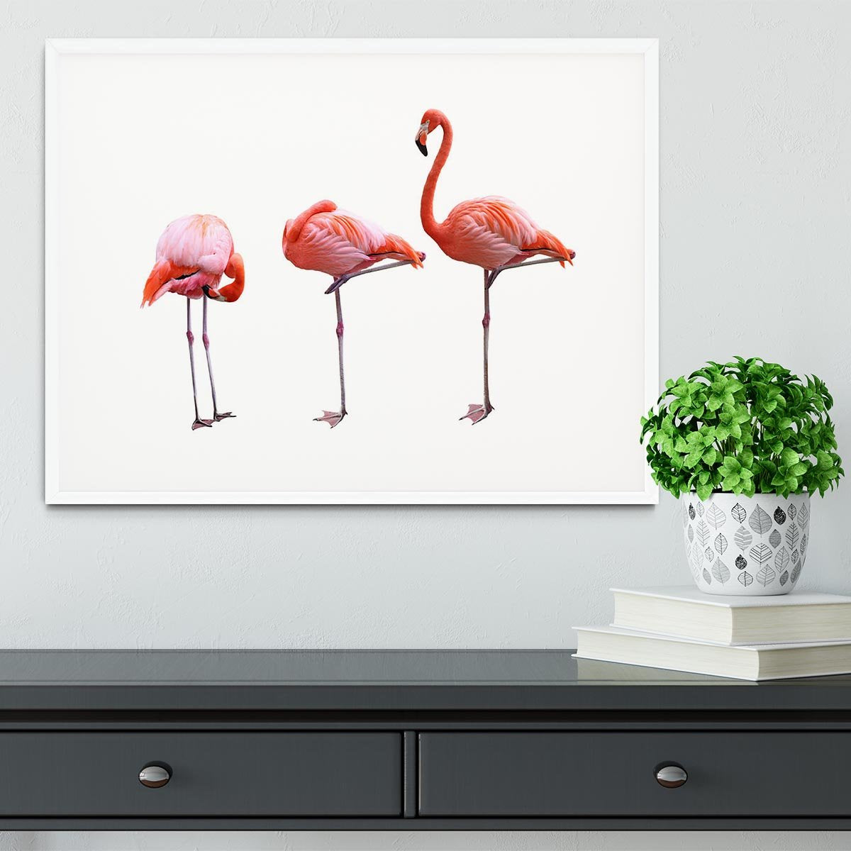 Three flamingo birds isolated on white background Framed Print - Canvas Art Rocks - 5