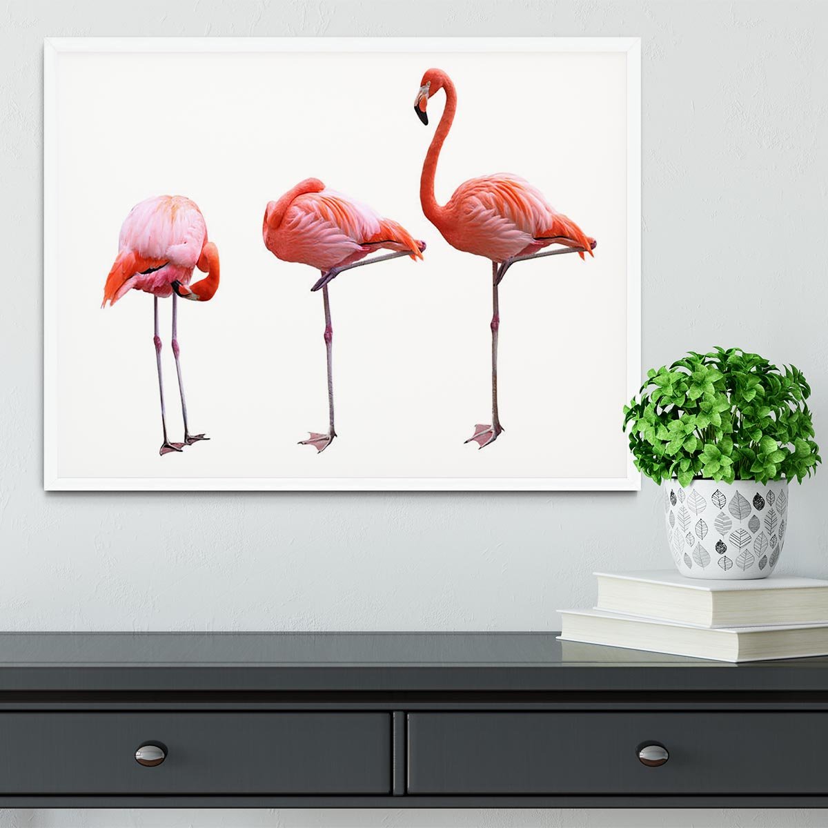 Three flamingo birds isolated on white background Framed Print - Canvas Art Rocks -6