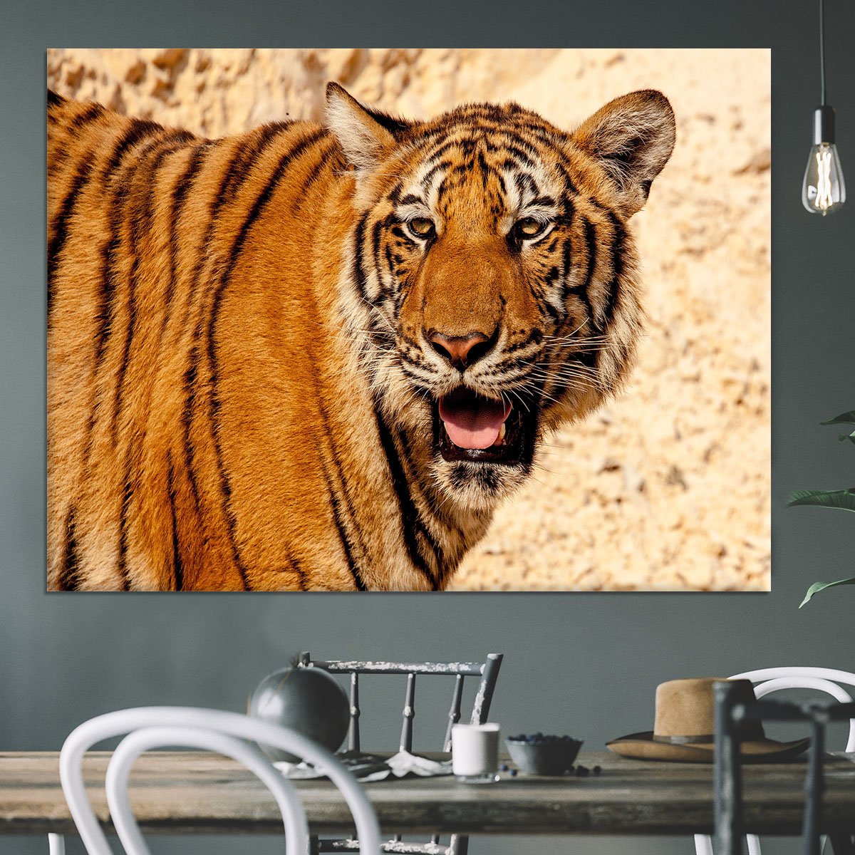 Tiger In The Heat Canvas Print or Poster