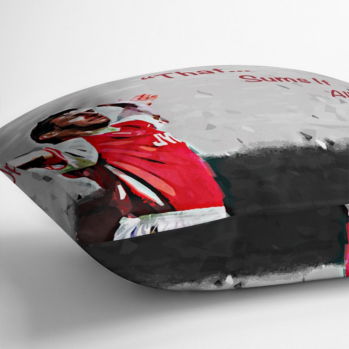 Tony Adams That Sums It All Up Cushion