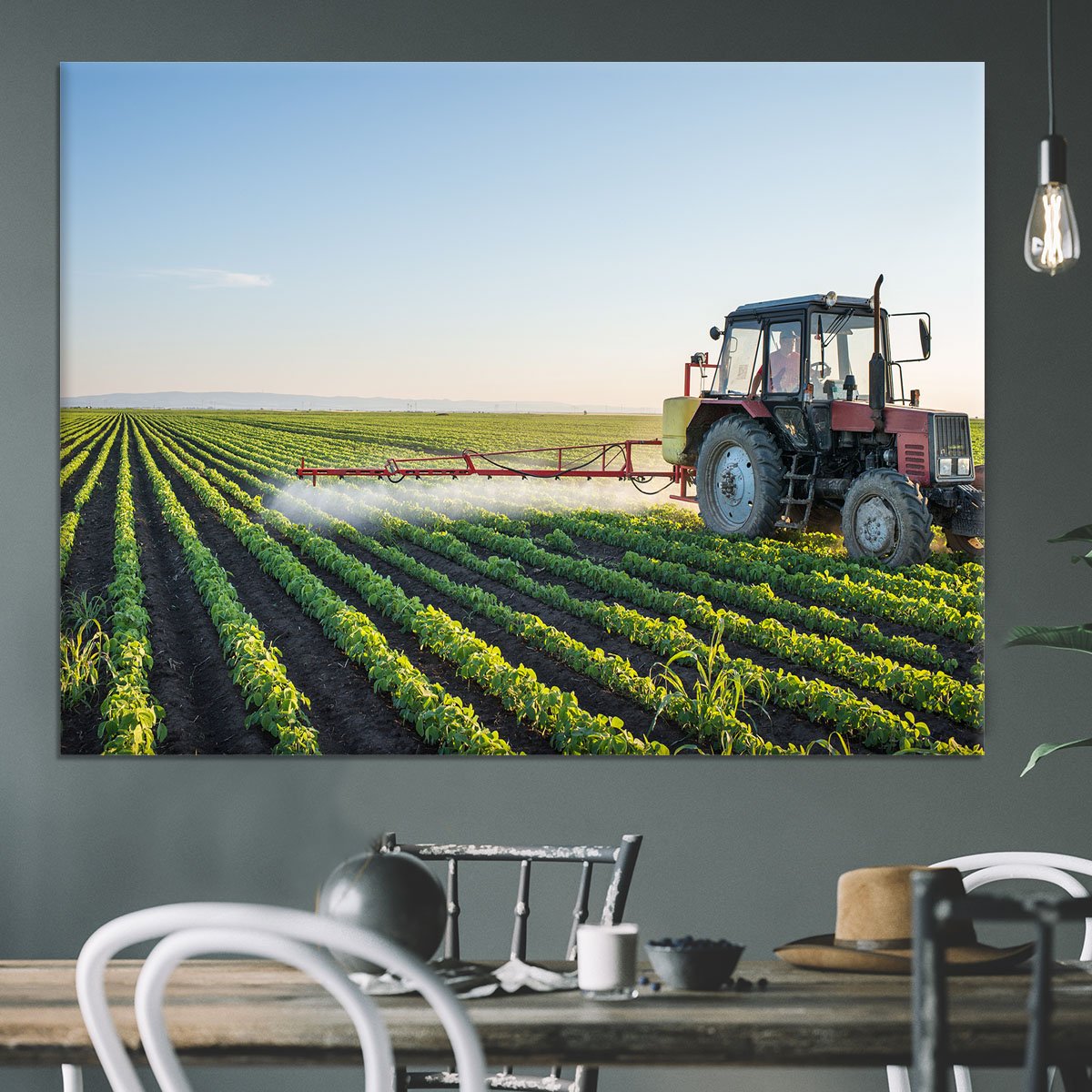 Tractor spraying Canvas Print or Poster