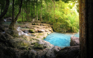Tranquil and peaceful nature Wall Mural Wallpaper - Canvas Art Rocks - 1