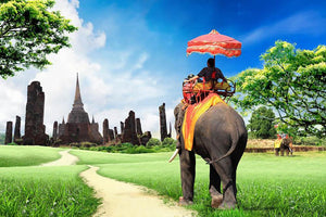 Travel concept tourists on an elephant Wall Mural Wallpaper - Canvas Art Rocks - 1
