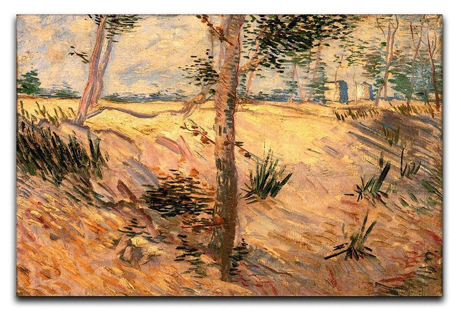 Trees in a Field on a Sunny Day by Van Gogh Canvas Print & Poster  - Canvas Art Rocks - 1