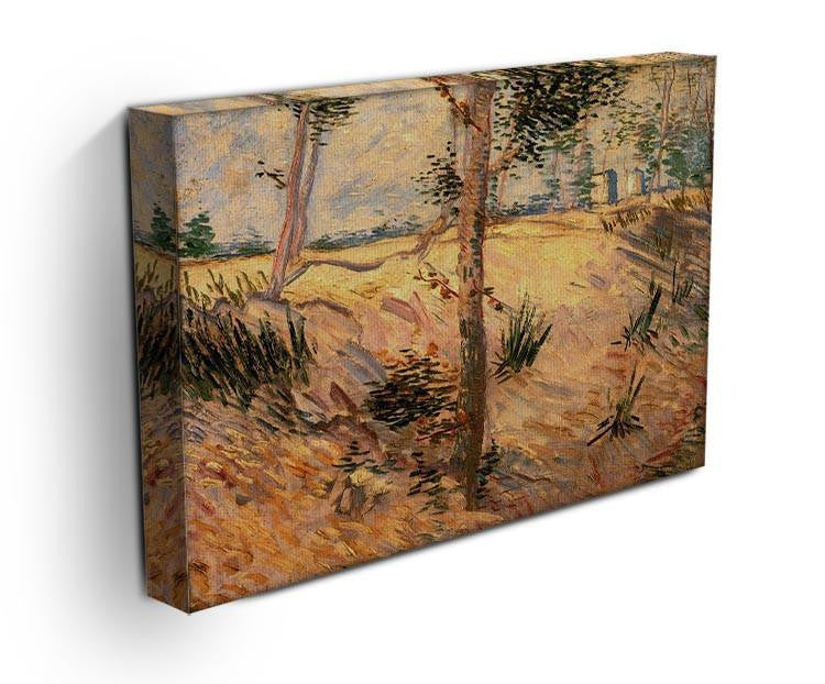 Trees in a Field on a Sunny Day by Van Gogh Canvas Print & Poster - Canvas Art Rocks - 3