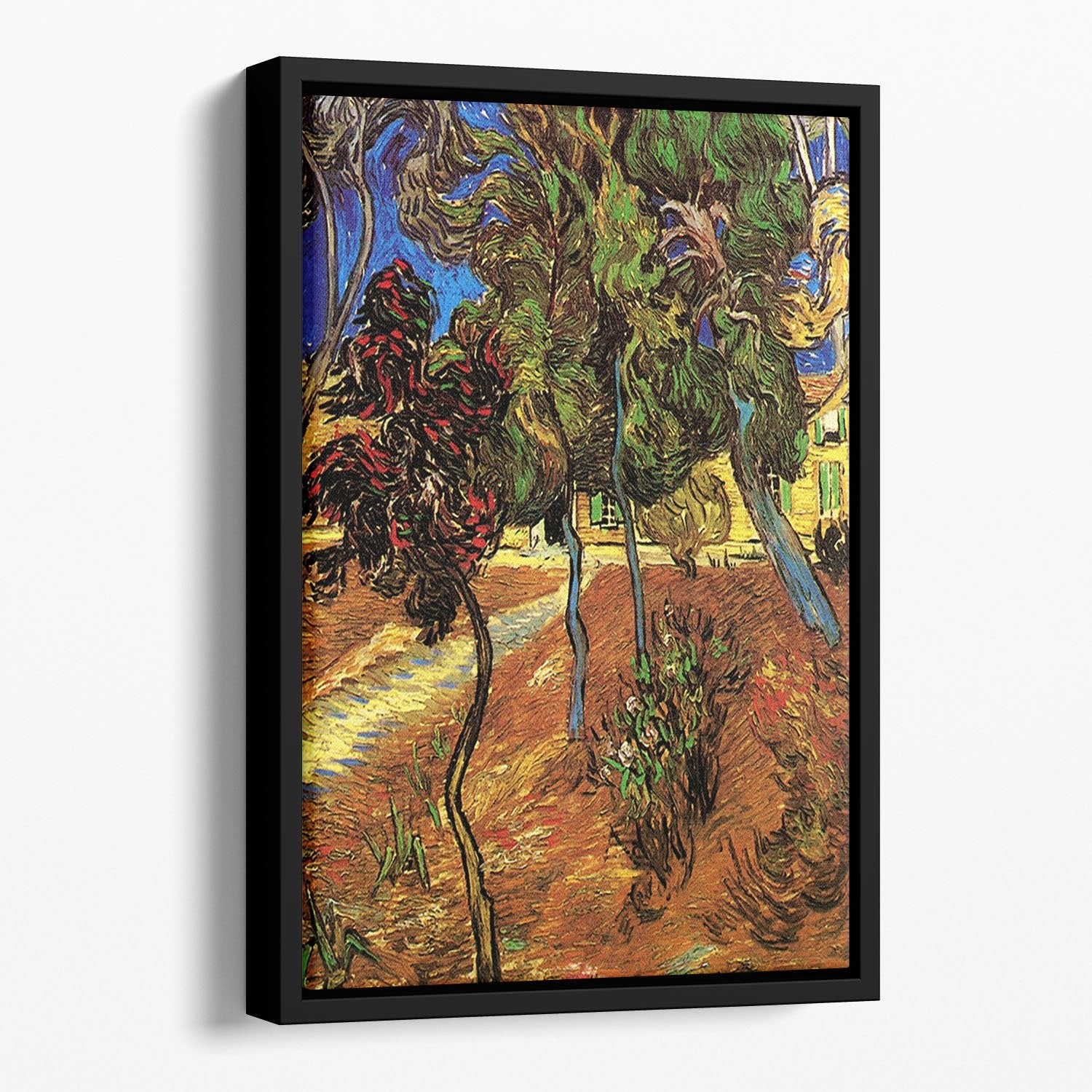 Trees in the Garden of Saint-Paul Hospital 2 by Van Gogh Floating Framed Canvas