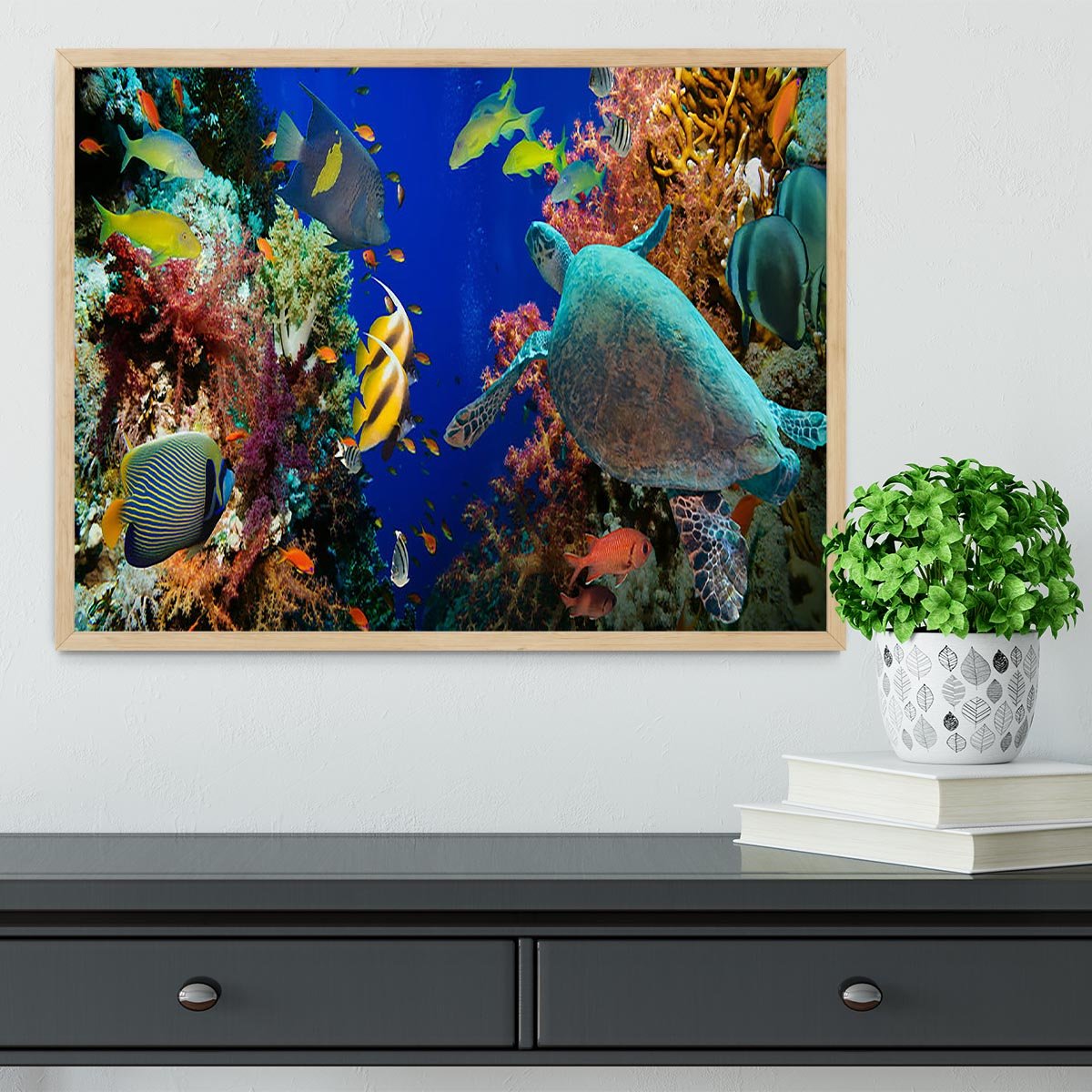 Tropical Anthias fish with net fire corals and shark on Red Sea reef Framed Print - Canvas Art Rocks - 4
