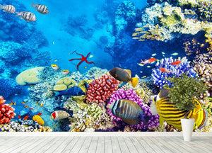 Tropical fish Wall Mural Wallpaper - Canvas Art Rocks - 4