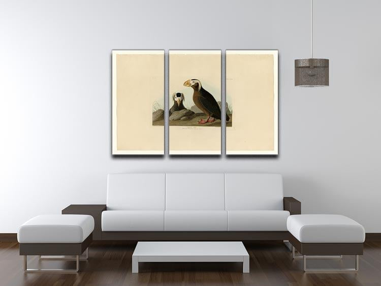 Tufted Auk by Audubon 3 Split Panel Canvas Print - Canvas Art Rocks - 3