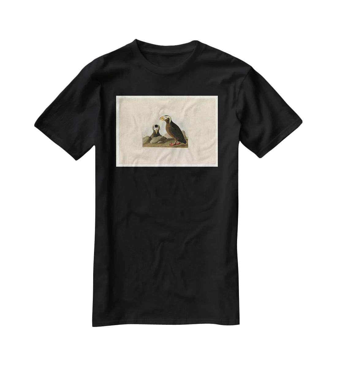 Tufted Auk by Audubon T-Shirt - Canvas Art Rocks - 1