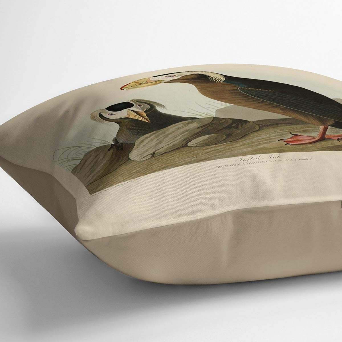 Tufted Auk by Audubon Cushion