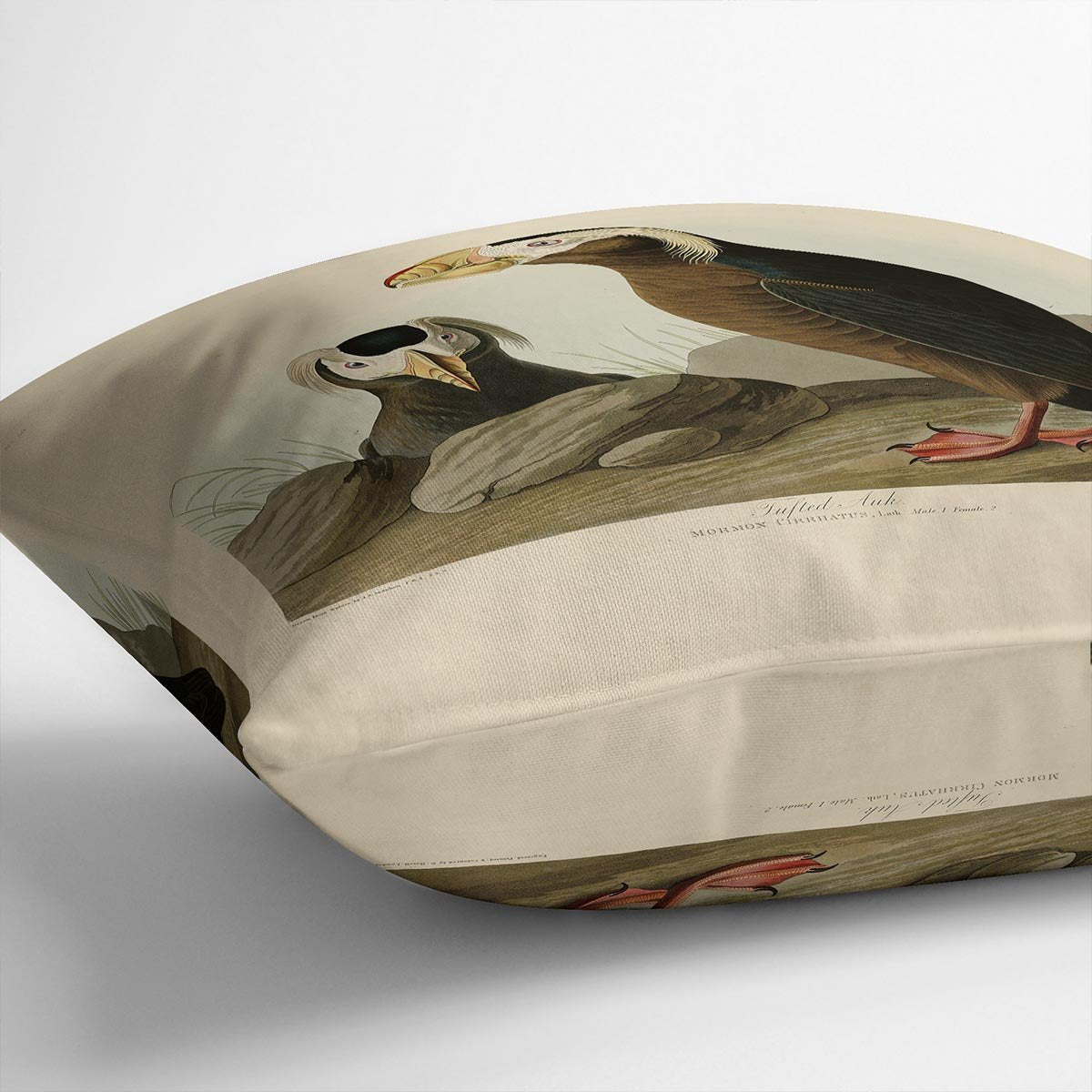Tufted Auk by Audubon Cushion