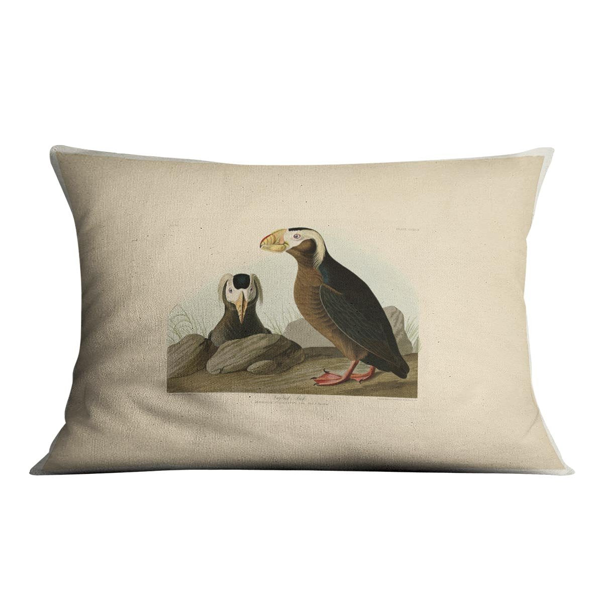 Tufted Auk by Audubon Cushion