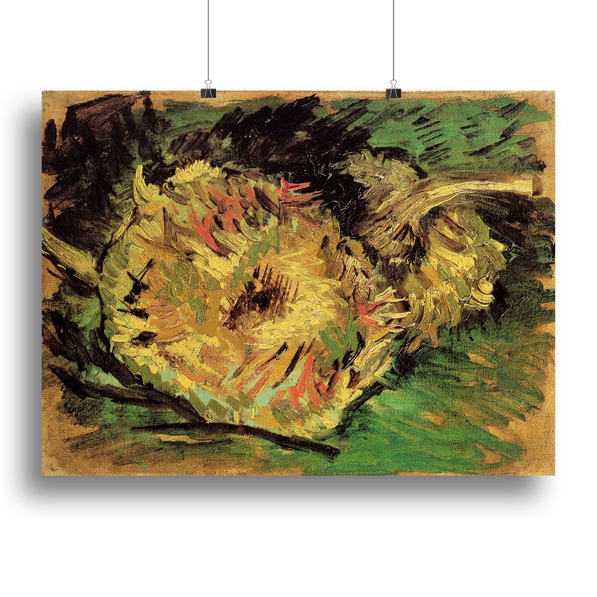 Two Cut Sunflowers by Van Gogh Canvas Print or Poster