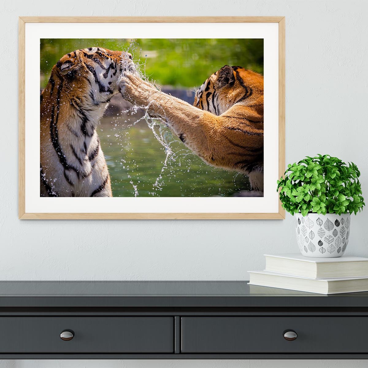 Two adult tigers at play in the water Framed Print - Canvas Art Rocks - 3