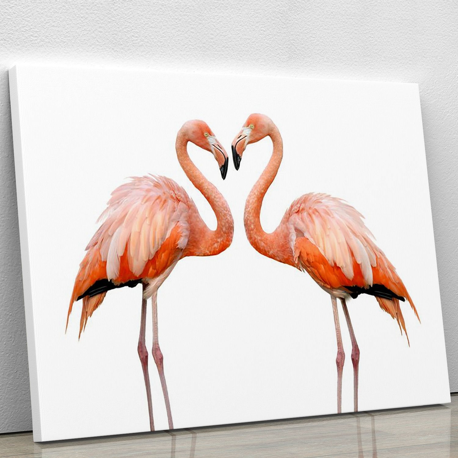 Two beautiful flamingos in love Canvas Print or Poster