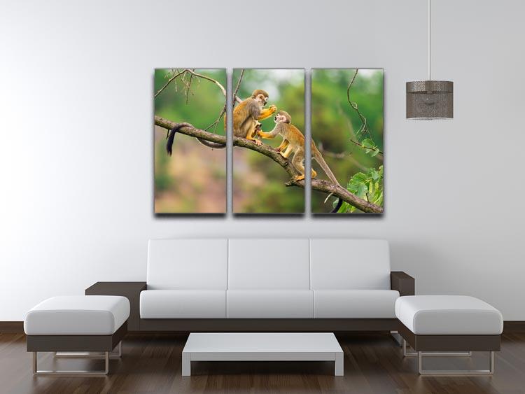 Two common squirrel monkeys 3 Split Panel Canvas Print - Canvas Art Rocks - 3