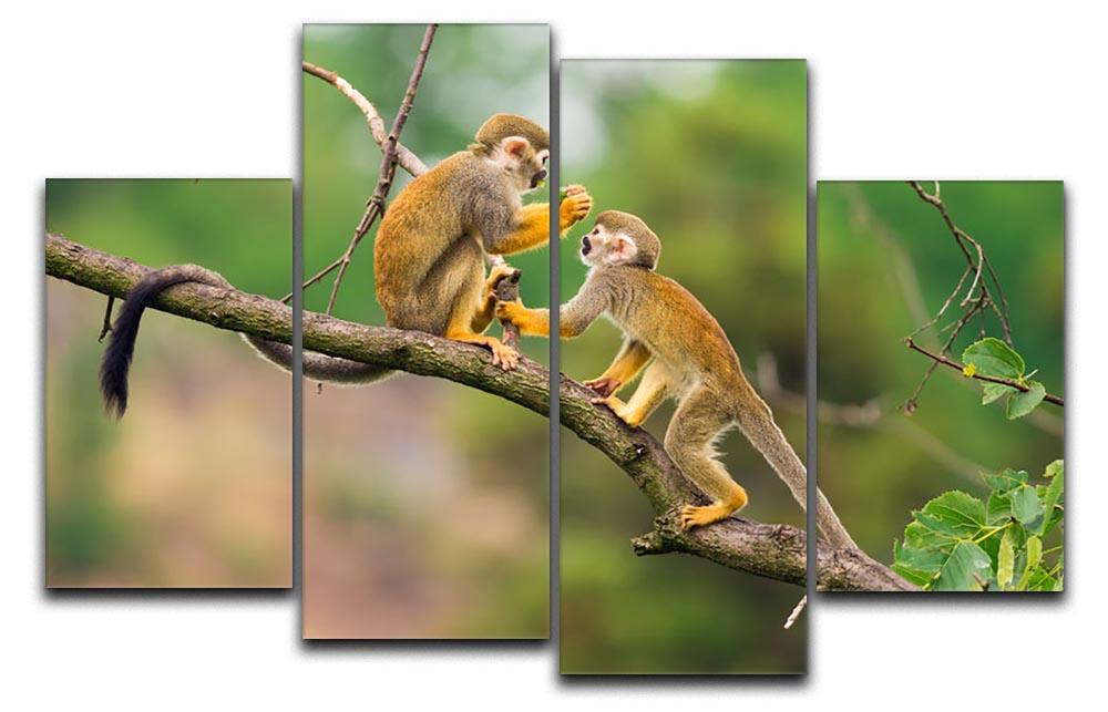 Two common squirrel monkeys 4 Split Panel Canvas - Canvas Art Rocks - 1