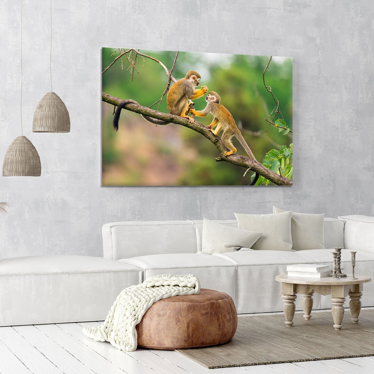 Two common squirrel monkeys Canvas Print or Poster