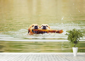 Two golden retrievers dogs are swimming with stick Wall Mural Wallpaper - Canvas Art Rocks - 4