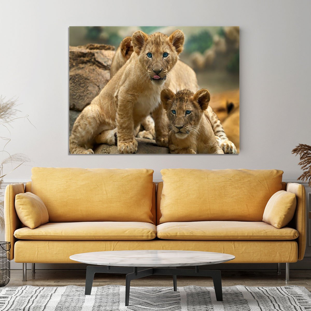 Two little Lion Cubs looking at something Canvas Print or Poster