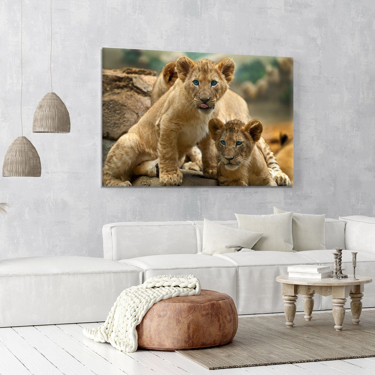 Two little Lion Cubs looking at something Canvas Print or Poster