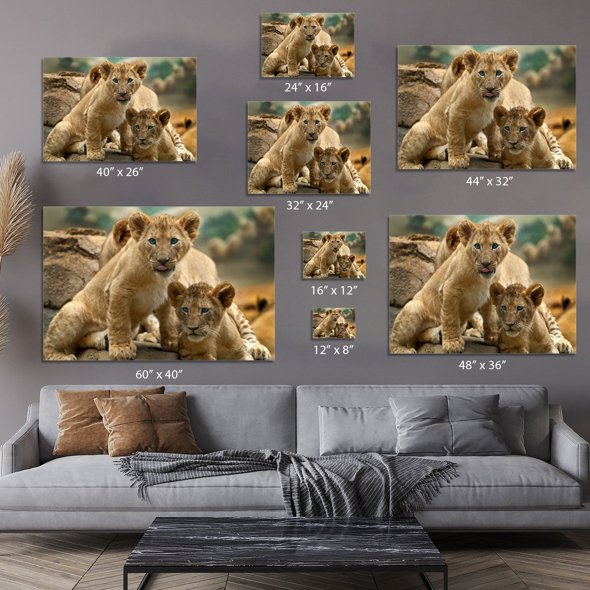 Two little Lion Cubs looking at something Canvas Print or Poster