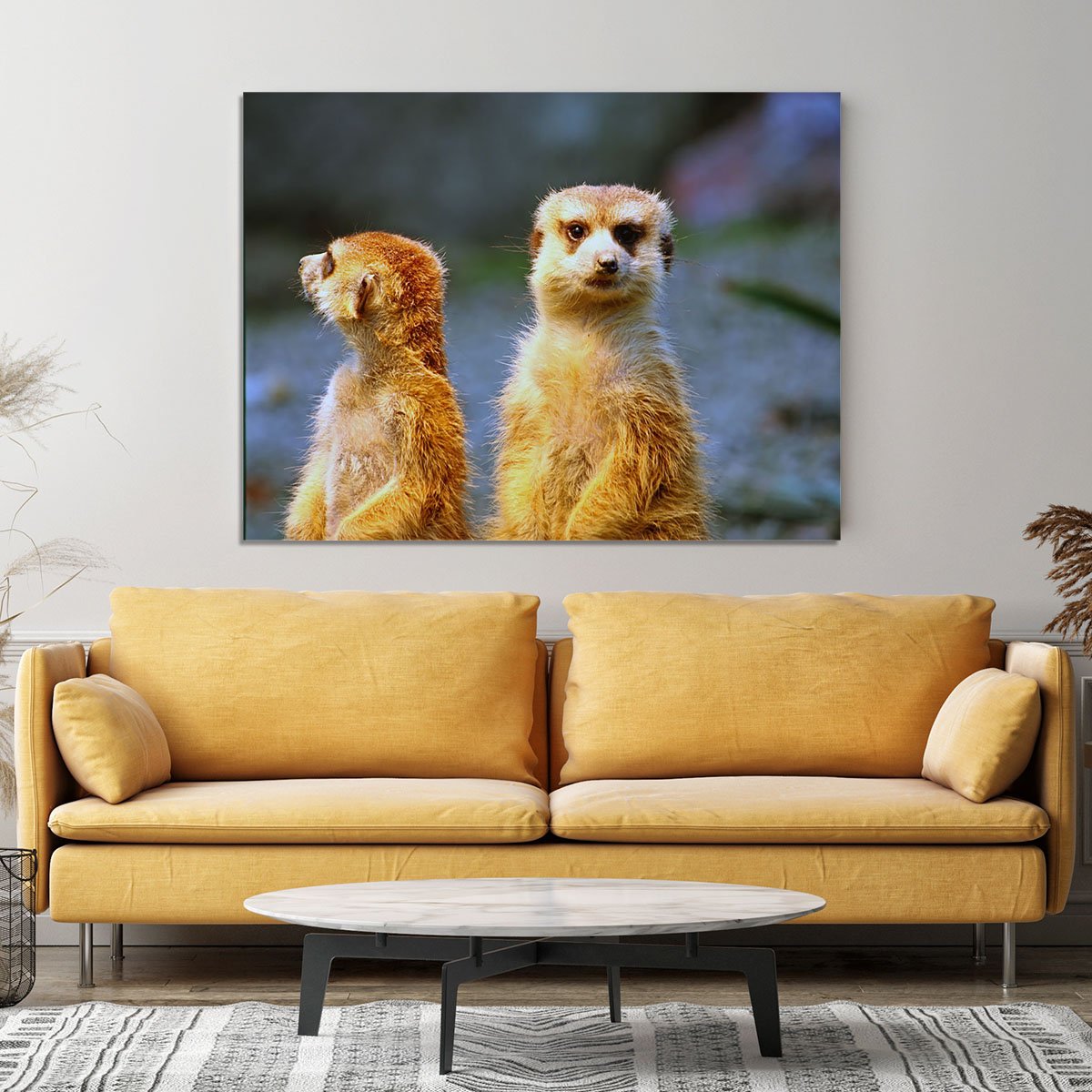 Two meerkats watching over their family in zoo Canvas Print or Poster