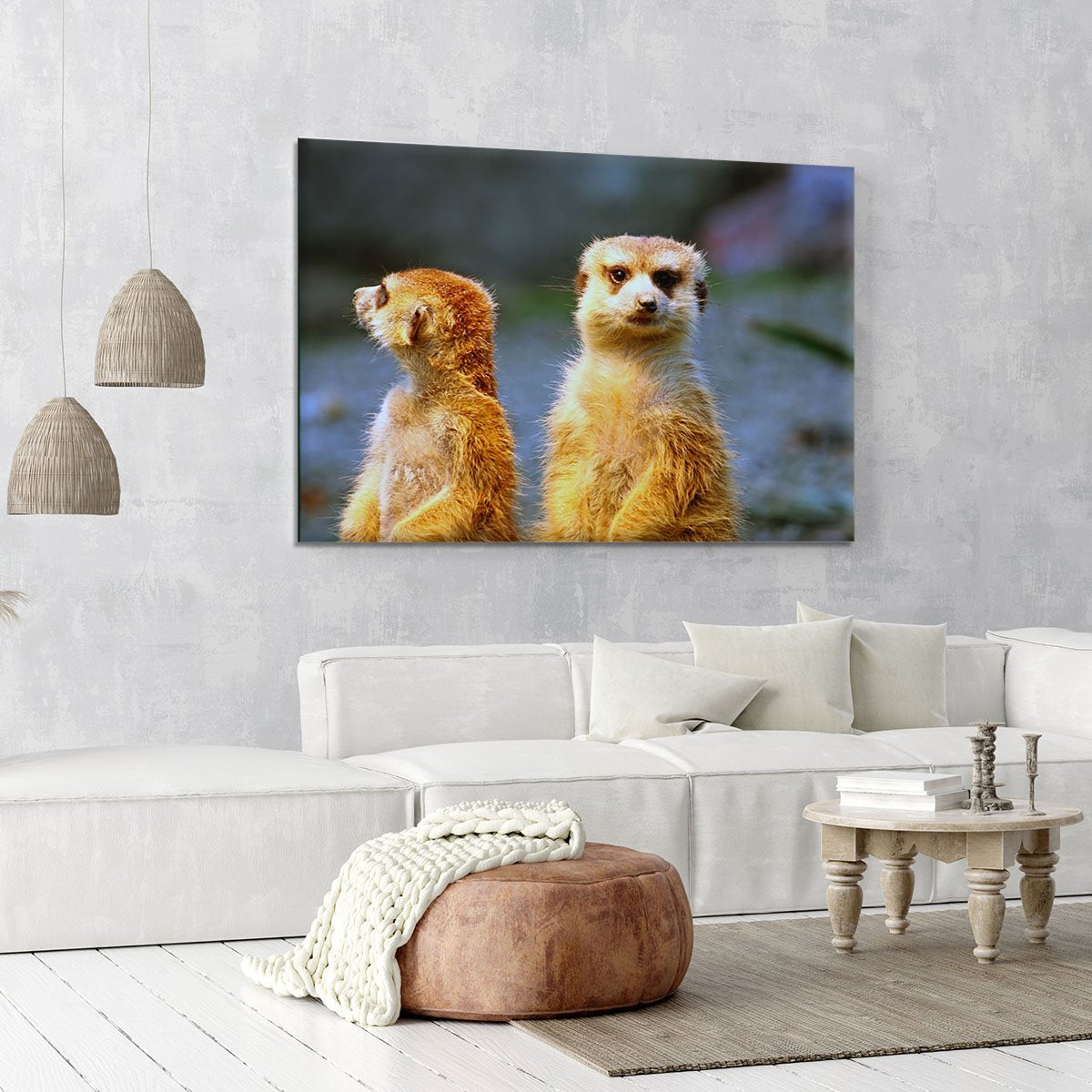 Two meerkats watching over their family in zoo Canvas Print or Poster