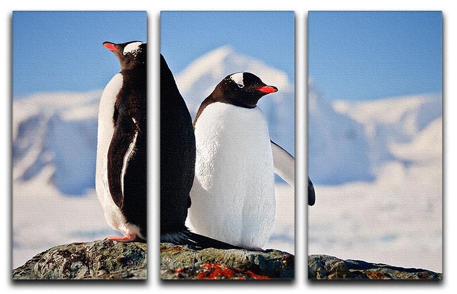 Two penguins dreaming sitting on a rock 3 Split Panel Canvas Print - Canvas Art Rocks - 1