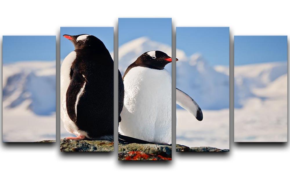 Two penguins dreaming sitting on a rock 5 Split Panel Canvas - Canvas Art Rocks - 1
