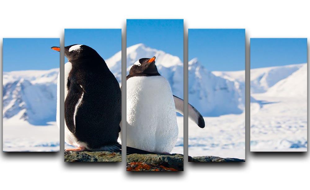 Two penguins dreaming together sitting on a rock 5 Split Panel Canvas - Canvas Art Rocks - 1