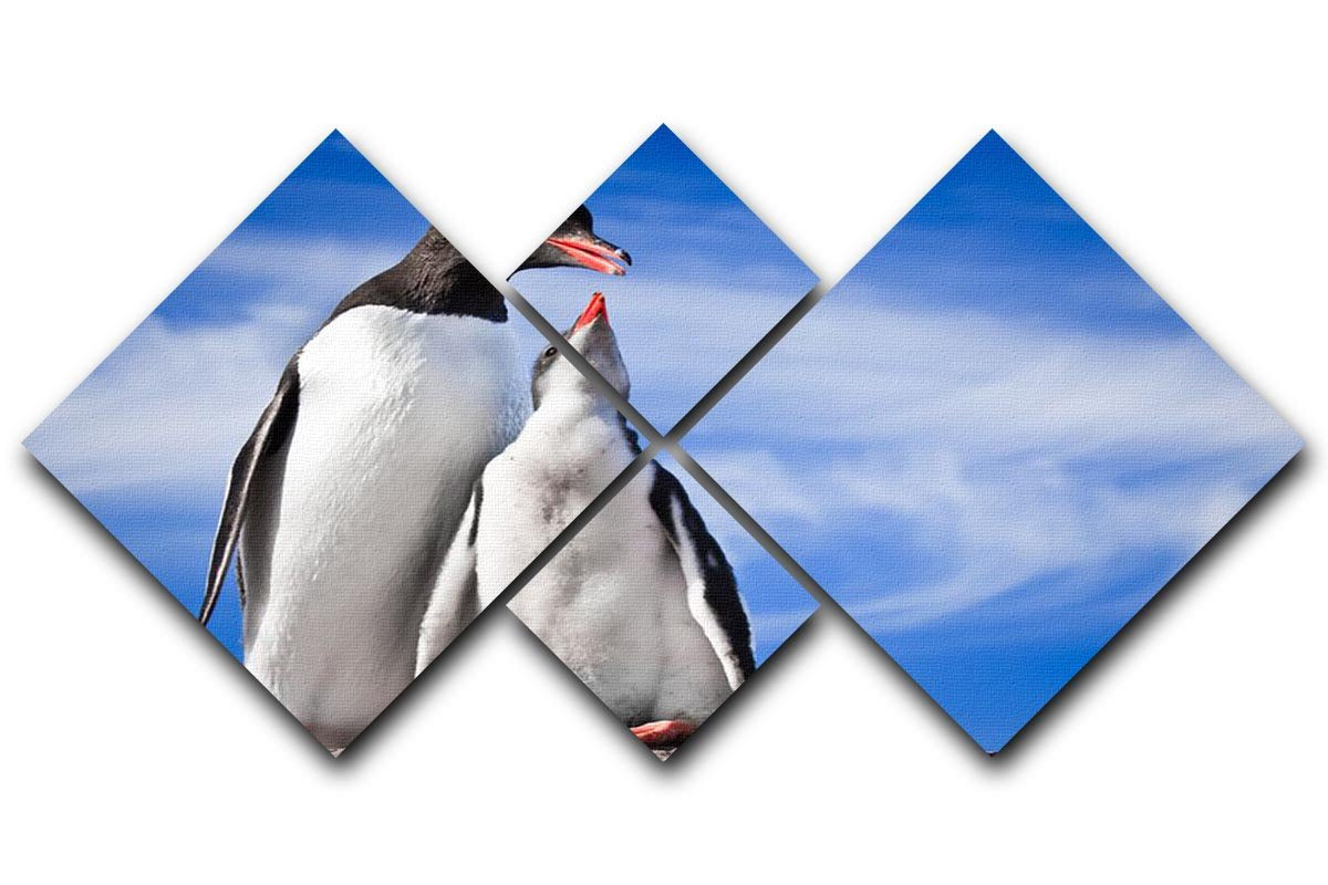 Two penguins resting 4 Square Multi Panel Canvas - Canvas Art Rocks - 1