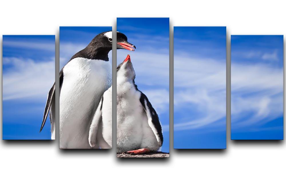 Two penguins resting 5 Split Panel Canvas - Canvas Art Rocks - 1