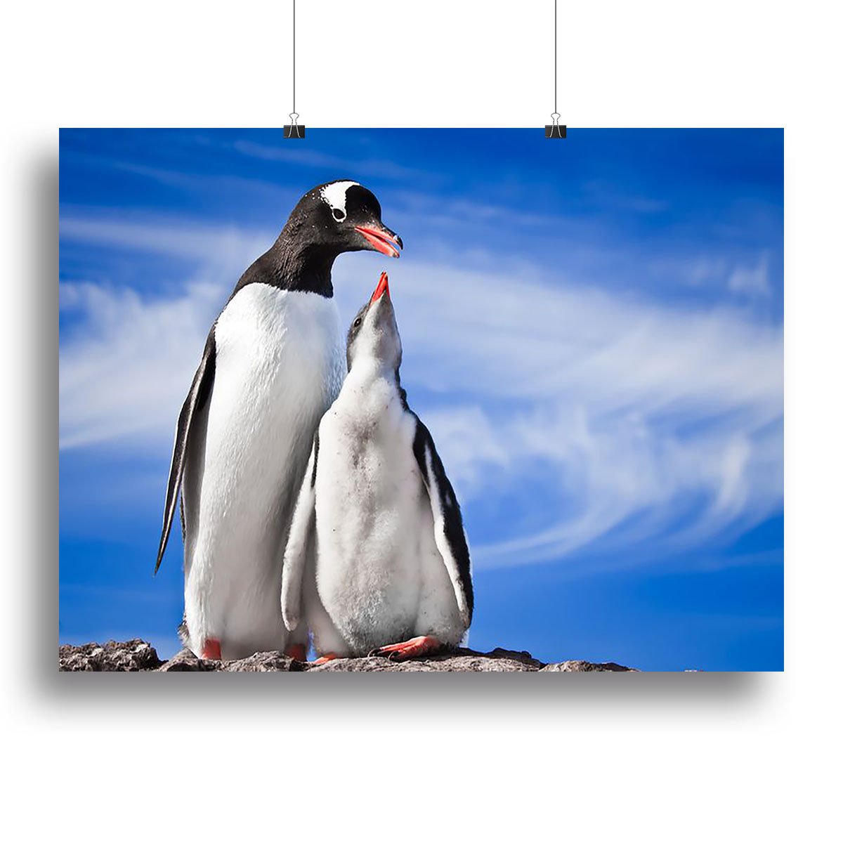 Two penguins resting Canvas Print or Poster